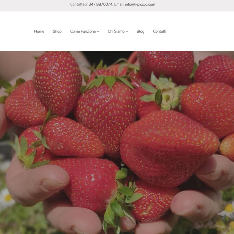 E-commerce e gestionale “I Piccoli”